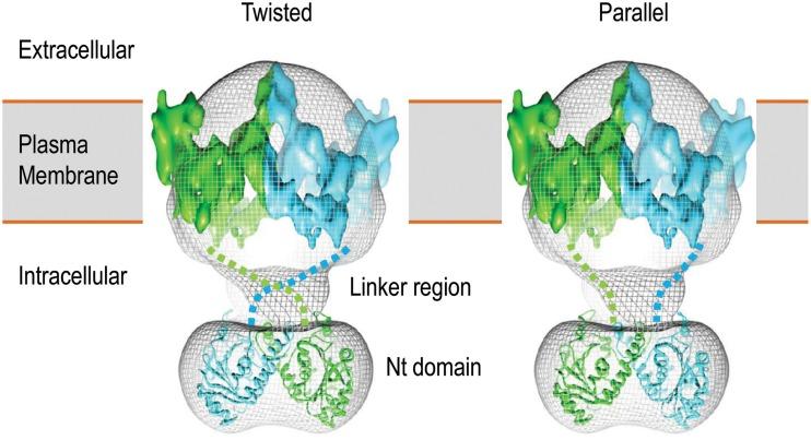 https://cdn.ncbi.nlm.nih.gov/pmc/blobs/c194/4664831/326aef85916b/fphys-06-00355-g0003.jpg