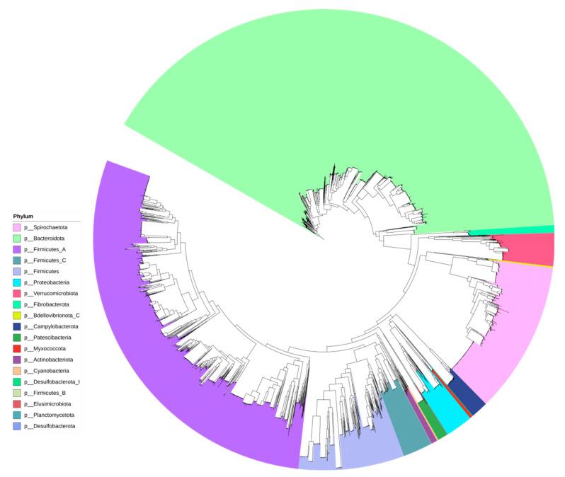 https://cdn.ncbi.nlm.nih.gov/pmc/blobs/c195/11676251/1e5b90ce41a2/microorganisms-12-02409-g001.jpg