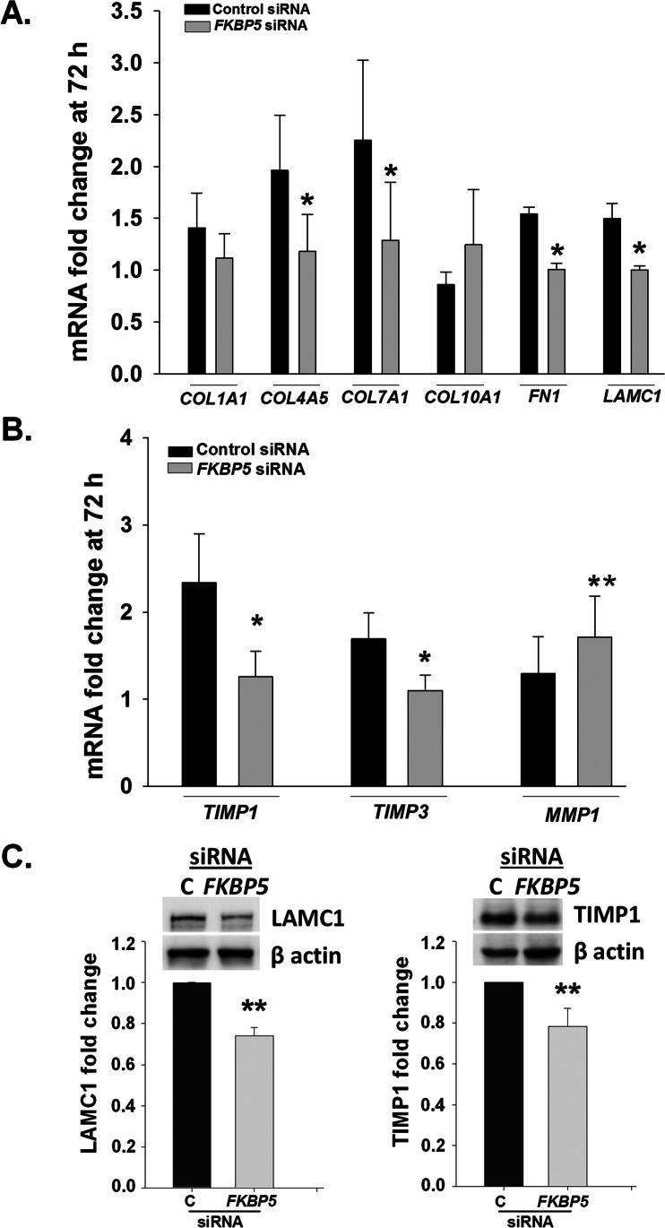 https://cdn.ncbi.nlm.nih.gov/pmc/blobs/c195/9009985/ddf642143047/43032_2022_921_Fig5_HTML.jpg