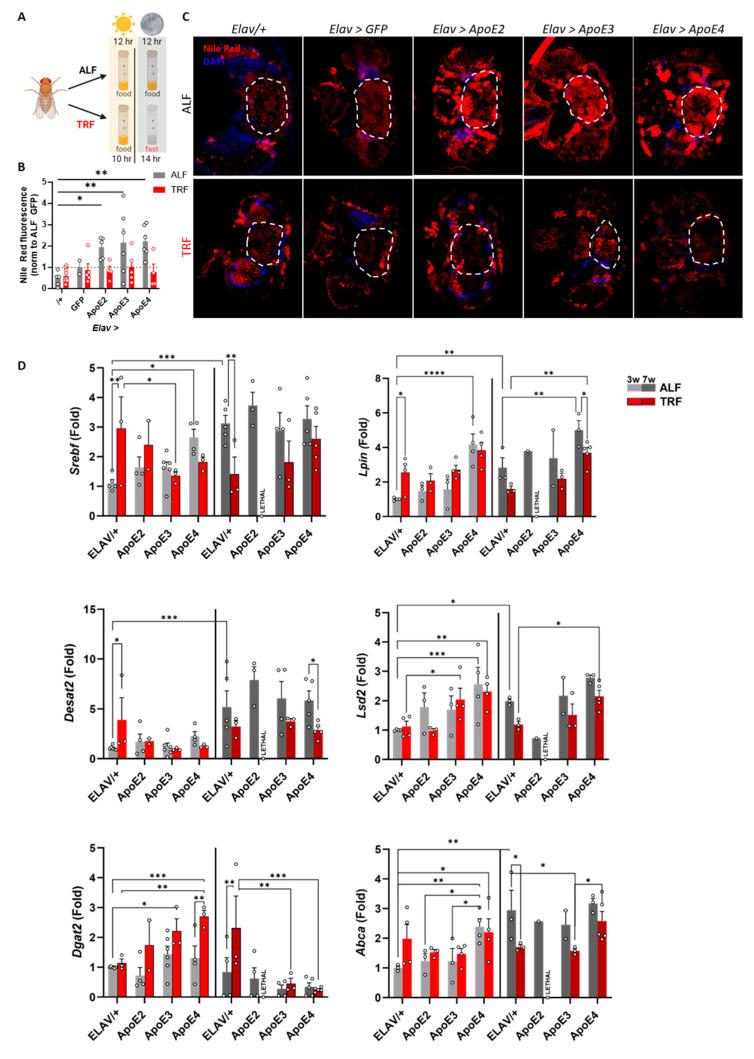 https://cdn.ncbi.nlm.nih.gov/pmc/blobs/c198/11594465/b712b21d80f7/genes-15-01376-g004.jpg