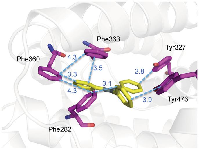 https://cdn.ncbi.nlm.nih.gov/pmc/blobs/c198/4330522/d22587eb3edd/srep08520-f6.jpg