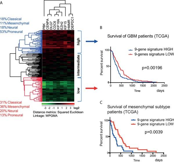 https://cdn.ncbi.nlm.nih.gov/pmc/blobs/c198/4694895/1bc814ee696d/oncotarget-06-26192-g004.jpg