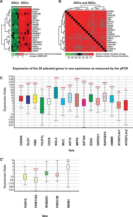 https://cdn.ncbi.nlm.nih.gov/pmc/blobs/c198/4694895/3265f2de0857/oncotarget-06-26192-g001.jpg