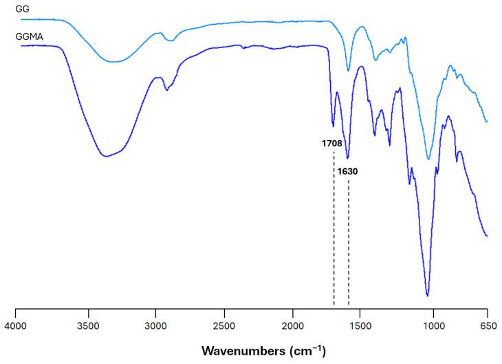https://cdn.ncbi.nlm.nih.gov/pmc/blobs/c199/11765158/29978f85bd7b/gels-11-00040-g001.jpg