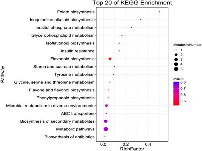 https://cdn.ncbi.nlm.nih.gov/pmc/blobs/c199/9849251/df0ae342fe55/fgene-13-1059333-g004.jpg