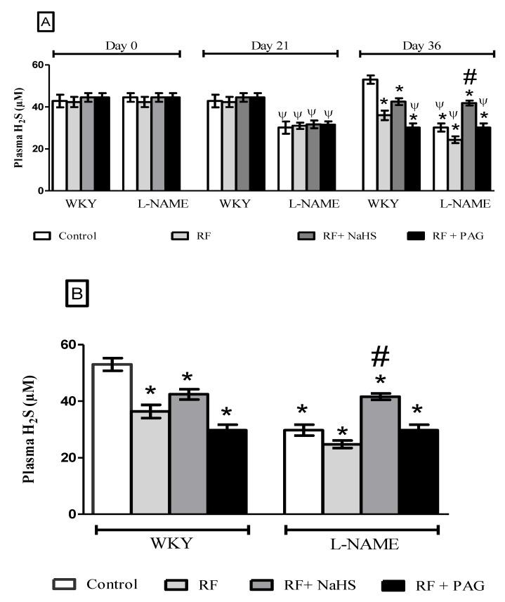https://cdn.ncbi.nlm.nih.gov/pmc/blobs/c19d/9695289/16c71bd257f0/life-12-01819-g001.jpg
