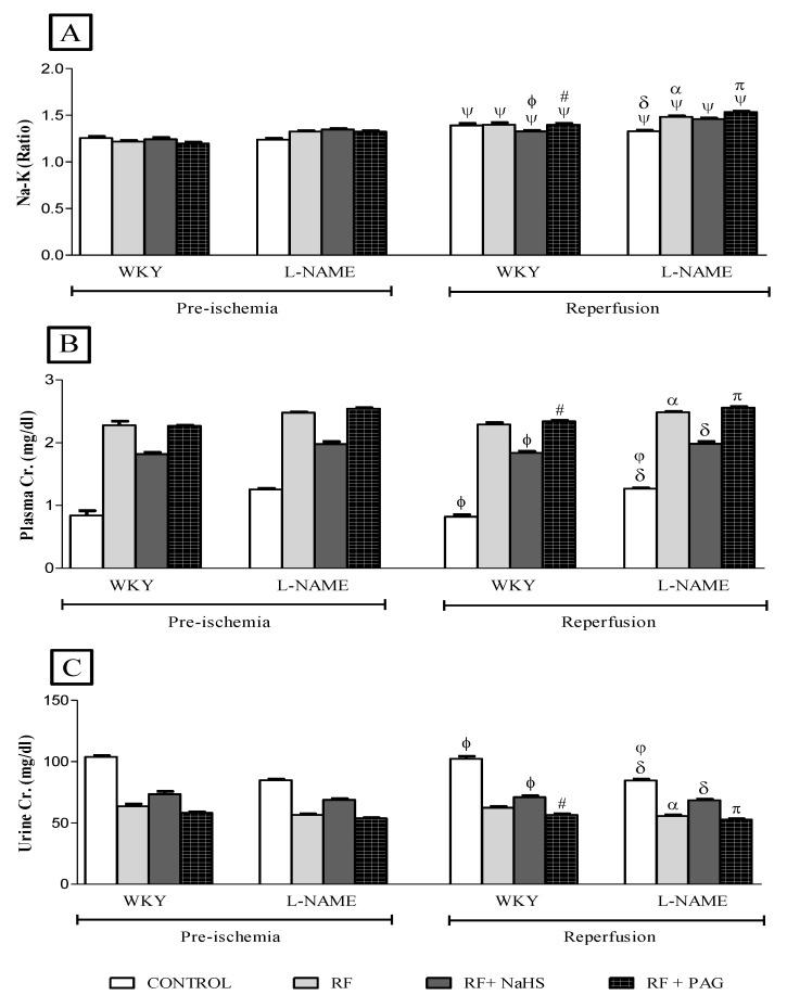 https://cdn.ncbi.nlm.nih.gov/pmc/blobs/c19d/9695289/60580ab97e0d/life-12-01819-g005.jpg