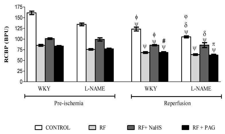 https://cdn.ncbi.nlm.nih.gov/pmc/blobs/c19d/9695289/dd0a1560880b/life-12-01819-g002.jpg