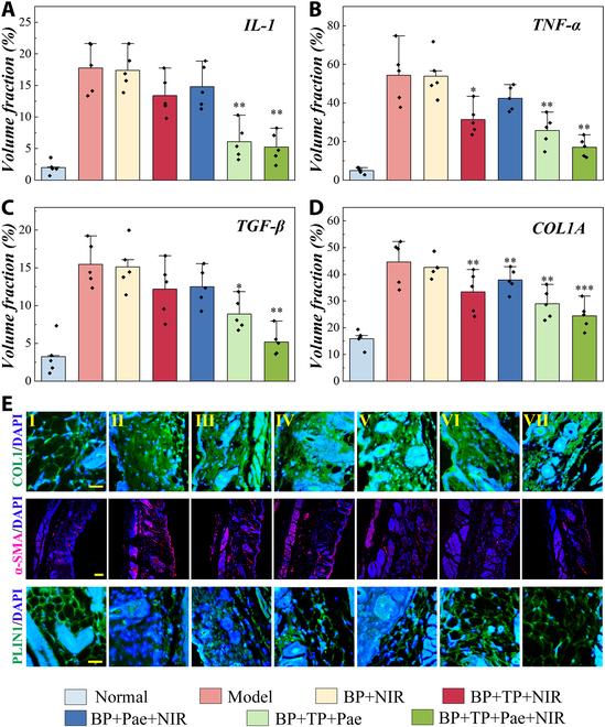 https://cdn.ncbi.nlm.nih.gov/pmc/blobs/c1a2/10204745/d167bebd31be/research.0141.fig.006.jpg