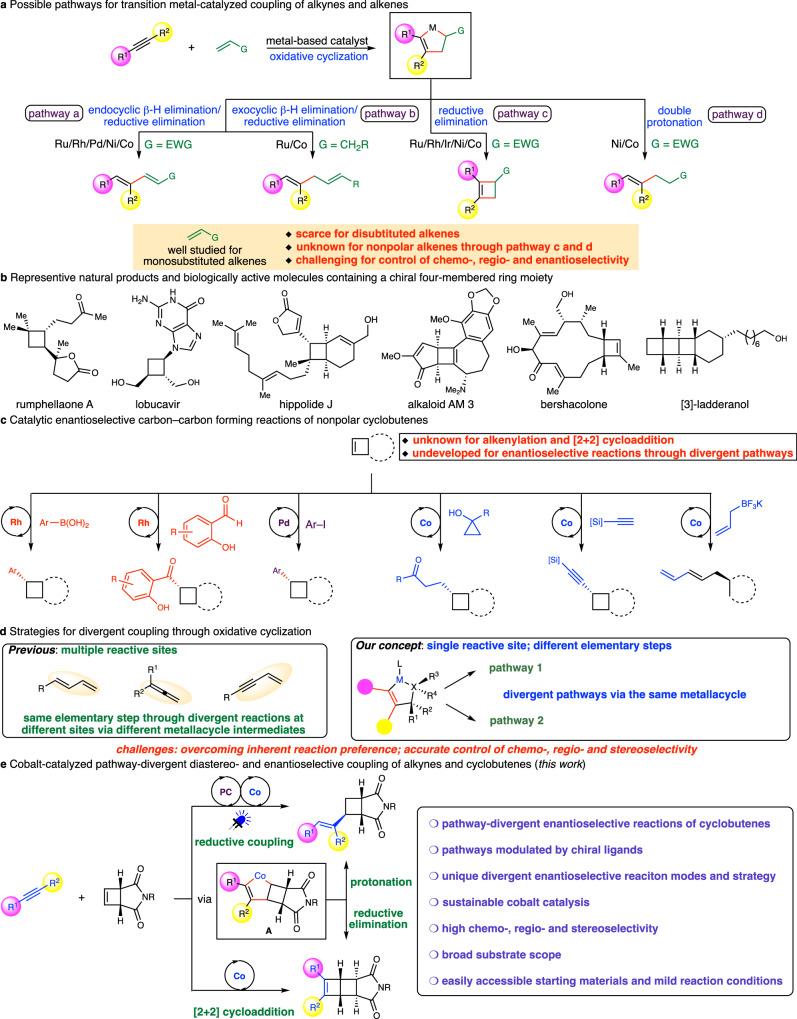 https://cdn.ncbi.nlm.nih.gov/pmc/blobs/c1a3/12216193/789f211f4df6/41467_2025_61019_Fig1_HTML.jpg