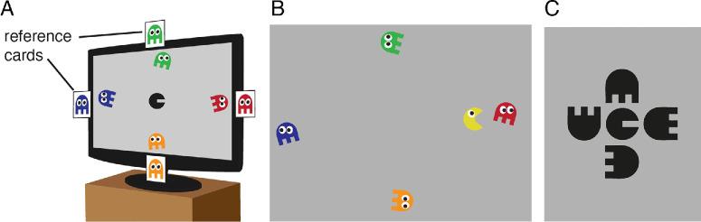 https://cdn.ncbi.nlm.nih.gov/pmc/blobs/c1a4/12118514/d635358b4e4d/iovs-66-5-32-f001.jpg