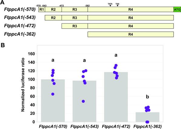 https://cdn.ncbi.nlm.nih.gov/pmc/blobs/c1aa/11674322/bef3bb6ff03f/13007_2024_1306_Fig6_HTML.jpg