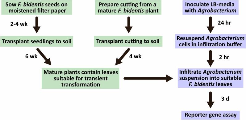 https://cdn.ncbi.nlm.nih.gov/pmc/blobs/c1aa/11674322/d2ff2803f39e/13007_2024_1306_Fig1_HTML.jpg