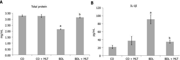 https://cdn.ncbi.nlm.nih.gov/pmc/blobs/c1aa/8771613/49e9b632e984/WJG-28-348-g004.jpg