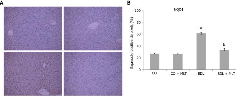 https://cdn.ncbi.nlm.nih.gov/pmc/blobs/c1aa/8771613/7bcea4b2c6ec/WJG-28-348-g008.jpg