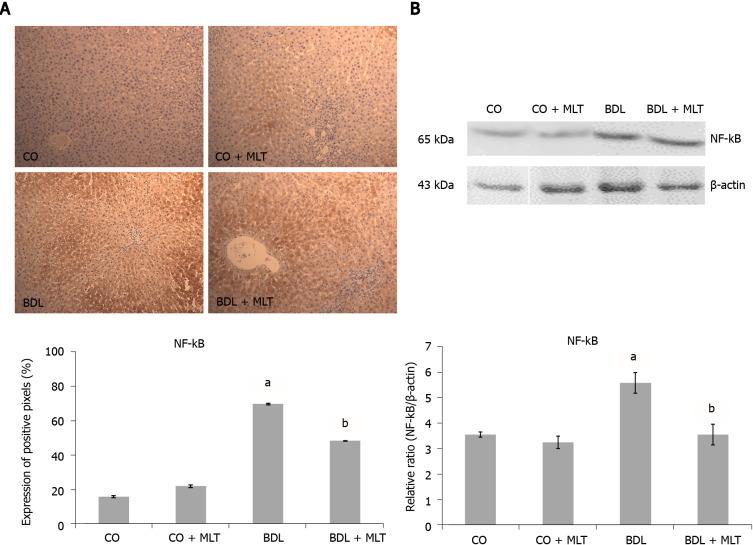 https://cdn.ncbi.nlm.nih.gov/pmc/blobs/c1aa/8771613/f7a71f53b690/WJG-28-348-g005.jpg