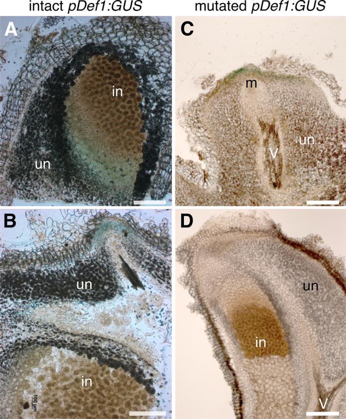 https://cdn.ncbi.nlm.nih.gov/pmc/blobs/c1ac/9387825/13ee82a4f988/pone.0268683.g004.jpg