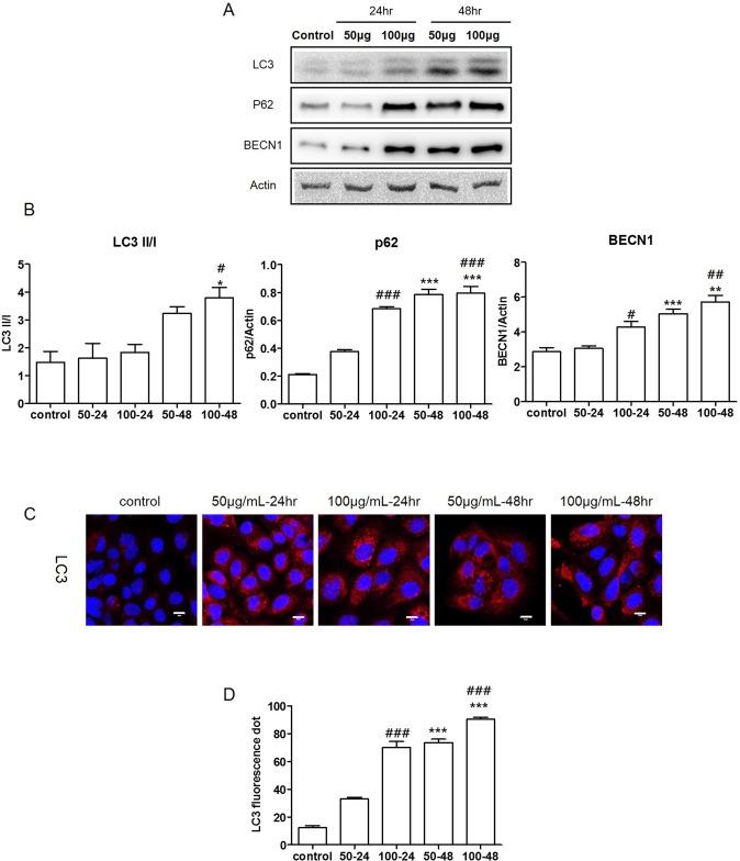 https://cdn.ncbi.nlm.nih.gov/pmc/blobs/c1ad/4485469/03d56a14522d/pone.0131208.g004.jpg