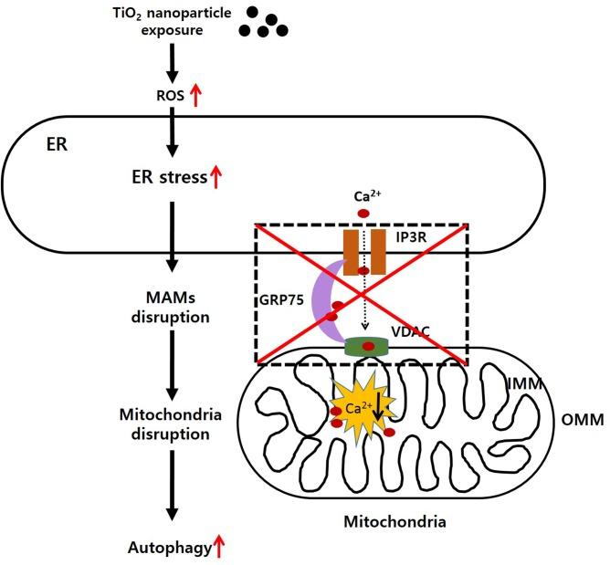 https://cdn.ncbi.nlm.nih.gov/pmc/blobs/c1ad/4485469/eaf06cb785b2/pone.0131208.g006.jpg