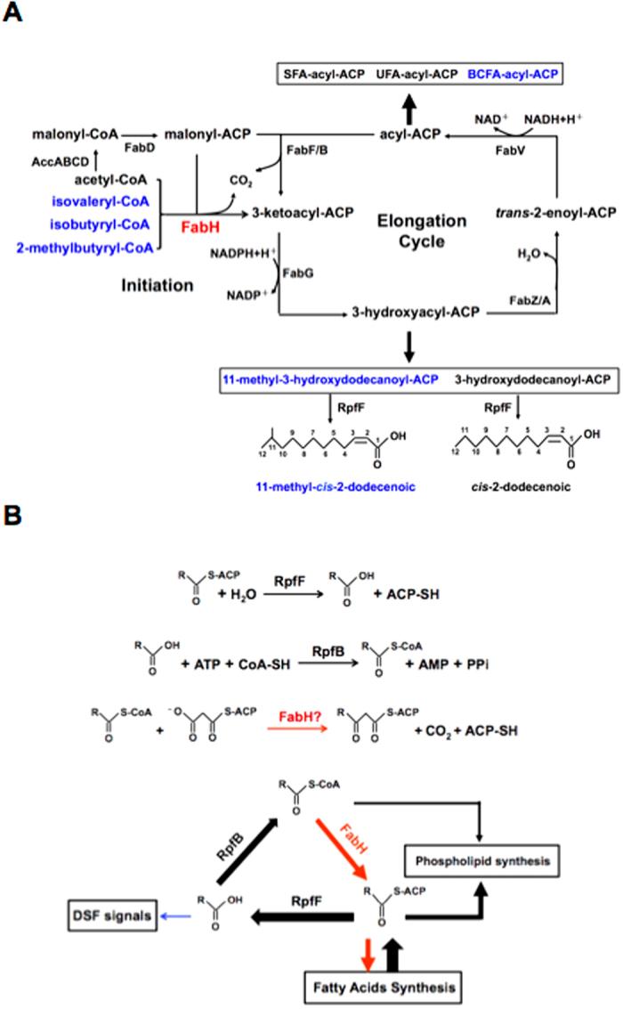 https://cdn.ncbi.nlm.nih.gov/pmc/blobs/c1ad/5011732/052d1922dd59/srep32811-f7.jpg