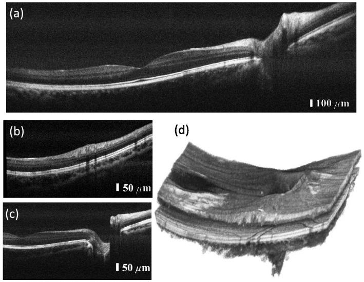 https://cdn.ncbi.nlm.nih.gov/pmc/blobs/c1ad/8548589/2c5c3d2228d5/41598_2021_637_Fig5_HTML.jpg