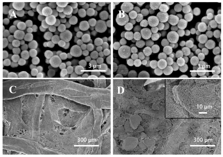 https://cdn.ncbi.nlm.nih.gov/pmc/blobs/c1ae/10058424/2dcd4dcd9bb9/sensors-23-03094-g002.jpg