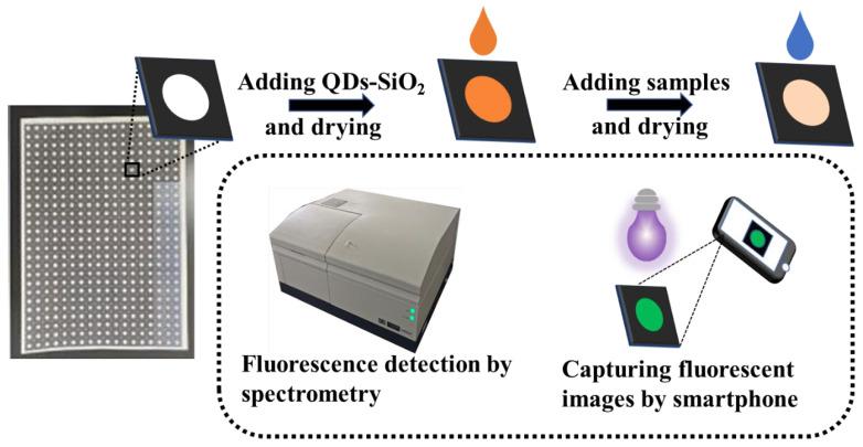 https://cdn.ncbi.nlm.nih.gov/pmc/blobs/c1ae/10058424/4e1bc17720d4/sensors-23-03094-g001.jpg