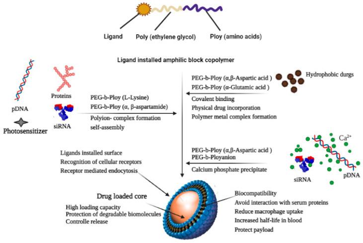 https://cdn.ncbi.nlm.nih.gov/pmc/blobs/c1af/10221903/1ae92ba8352e/life-13-01099-g005.jpg
