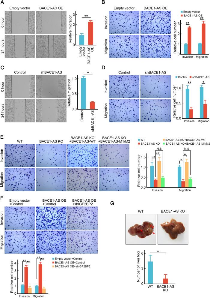 https://cdn.ncbi.nlm.nih.gov/pmc/blobs/c1af/10661562/0956424adbba/13046_2023_2881_Fig3_HTML.jpg