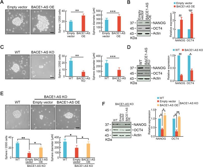 https://cdn.ncbi.nlm.nih.gov/pmc/blobs/c1af/10661562/1566bb1882a7/13046_2023_2881_Fig4_HTML.jpg