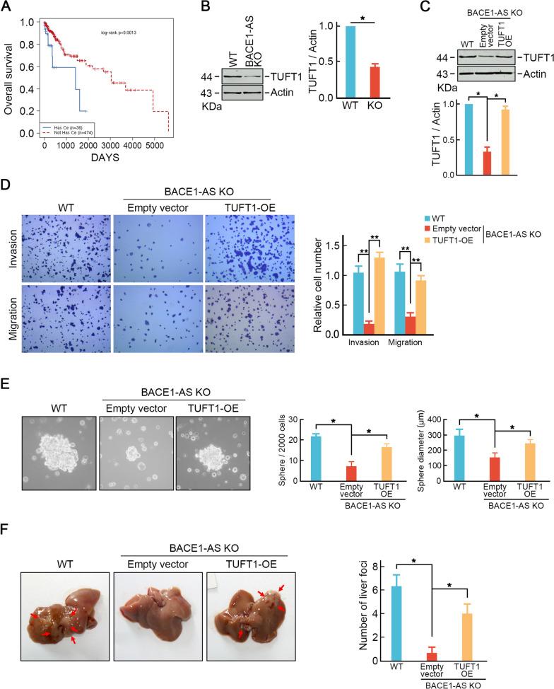 https://cdn.ncbi.nlm.nih.gov/pmc/blobs/c1af/10661562/3321518321bc/13046_2023_2881_Fig5_HTML.jpg