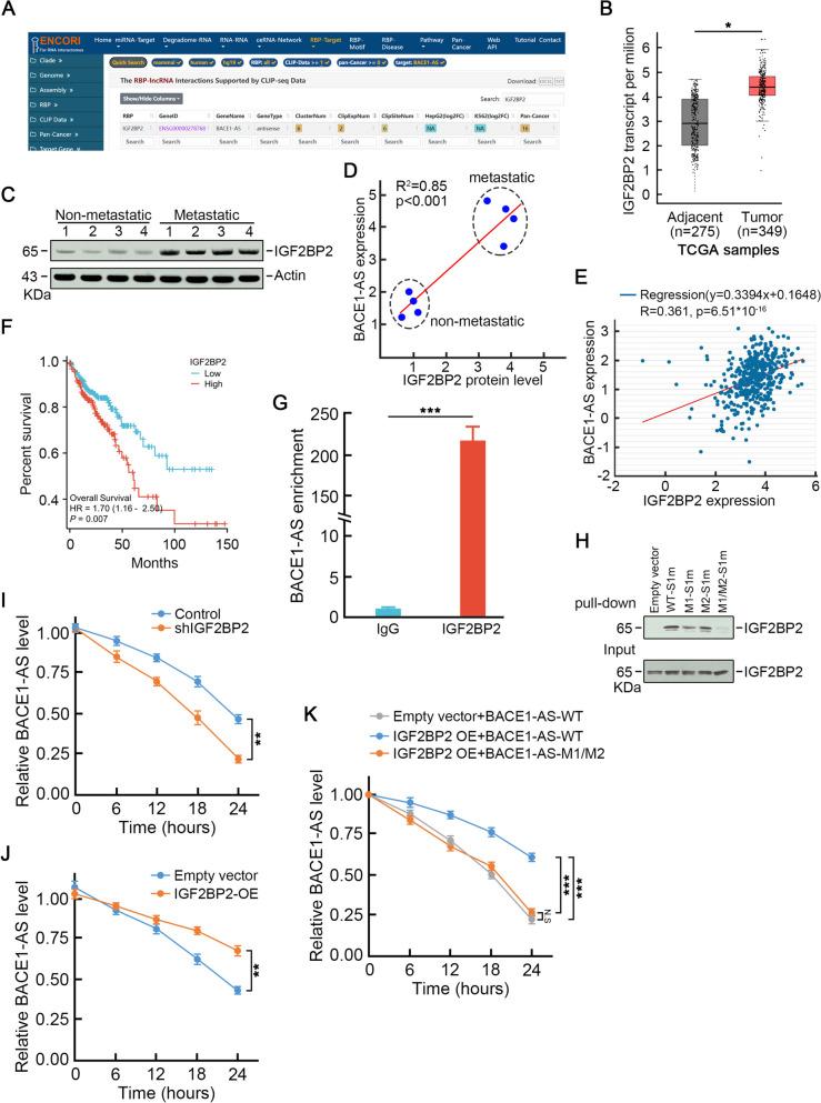 https://cdn.ncbi.nlm.nih.gov/pmc/blobs/c1af/10661562/4006a0577ef6/13046_2023_2881_Fig2_HTML.jpg