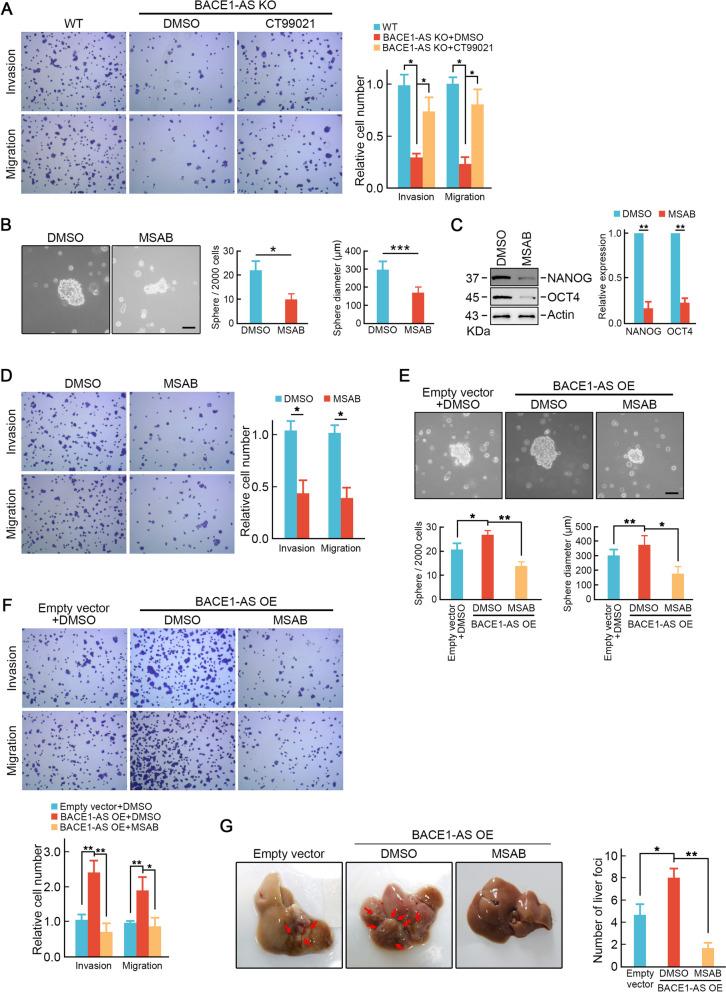 https://cdn.ncbi.nlm.nih.gov/pmc/blobs/c1af/10661562/7f4ceeb8a068/13046_2023_2881_Fig7_HTML.jpg