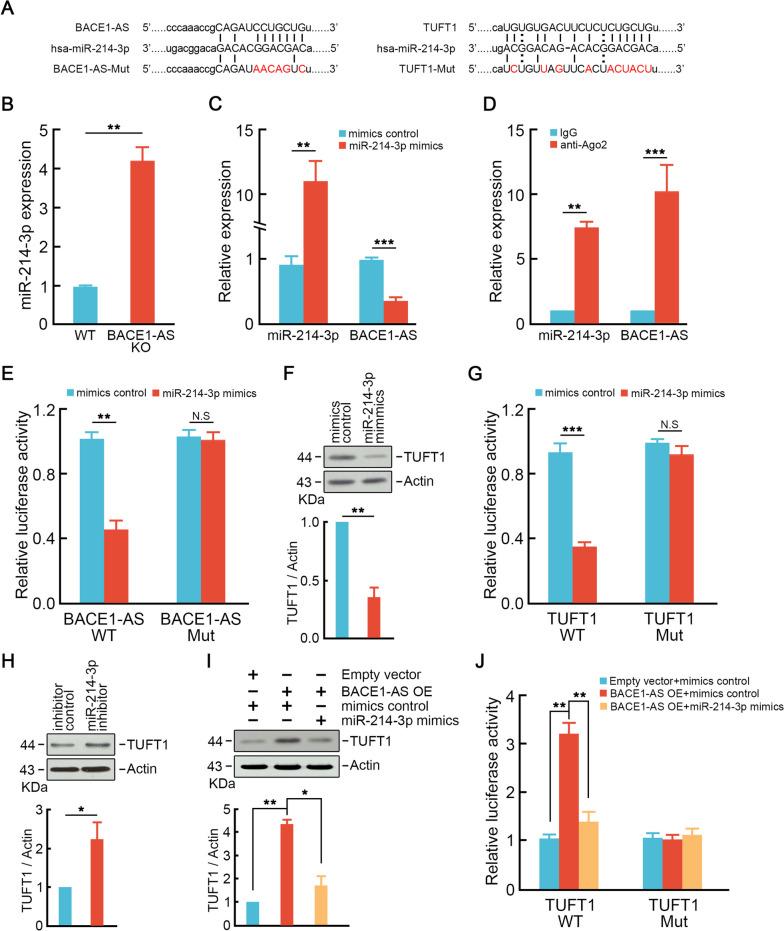 https://cdn.ncbi.nlm.nih.gov/pmc/blobs/c1af/10661562/83c564c27d91/13046_2023_2881_Fig8_HTML.jpg