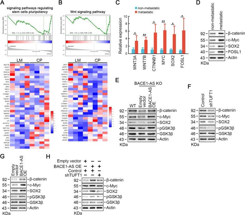 https://cdn.ncbi.nlm.nih.gov/pmc/blobs/c1af/10661562/d266f4aa8776/13046_2023_2881_Fig6_HTML.jpg