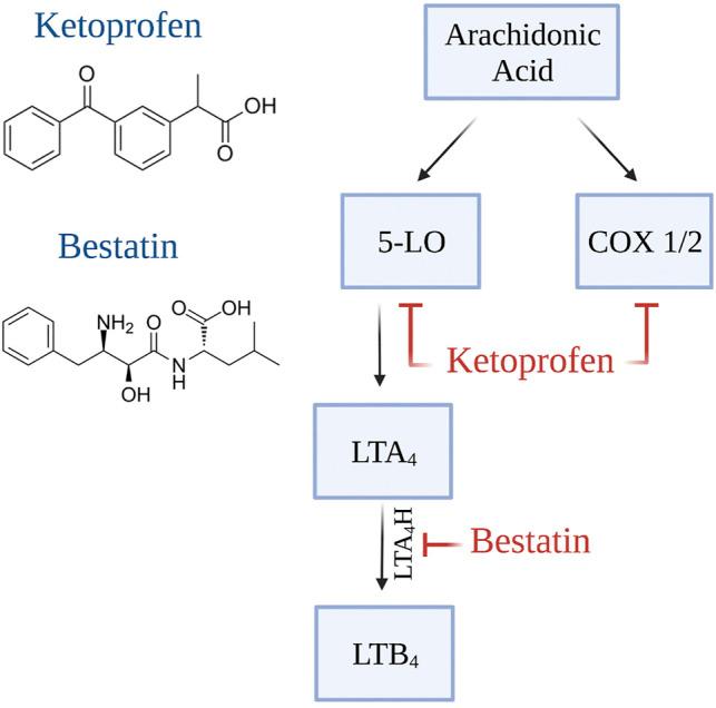 https://cdn.ncbi.nlm.nih.gov/pmc/blobs/c1b0/8822213/e82752b267a5/fphar-13-828513-g002.jpg