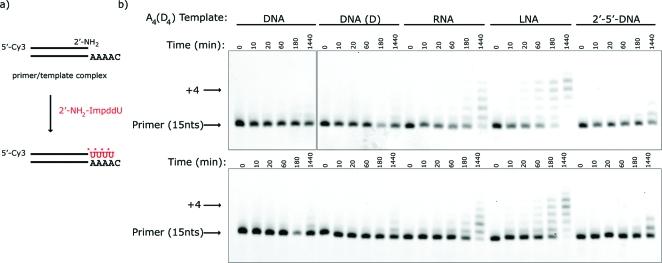 https://cdn.ncbi.nlm.nih.gov/pmc/blobs/c1b1/2759813/64e9383ef81e/ja-2009-06557v_0007.jpg