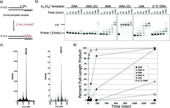 https://cdn.ncbi.nlm.nih.gov/pmc/blobs/c1b1/2759813/fbf0192491c4/ja-2009-06557v_0005.jpg