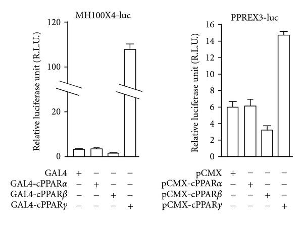 https://cdn.ncbi.nlm.nih.gov/pmc/blobs/c1b1/3549339/f57d8cc1ea89/PPAR2013-186312.002.jpg