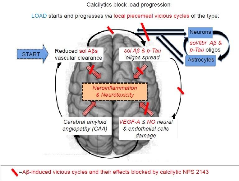 https://cdn.ncbi.nlm.nih.gov/pmc/blobs/c1b1/4392667/36c57374260a/NRR-10-213-g001.jpg