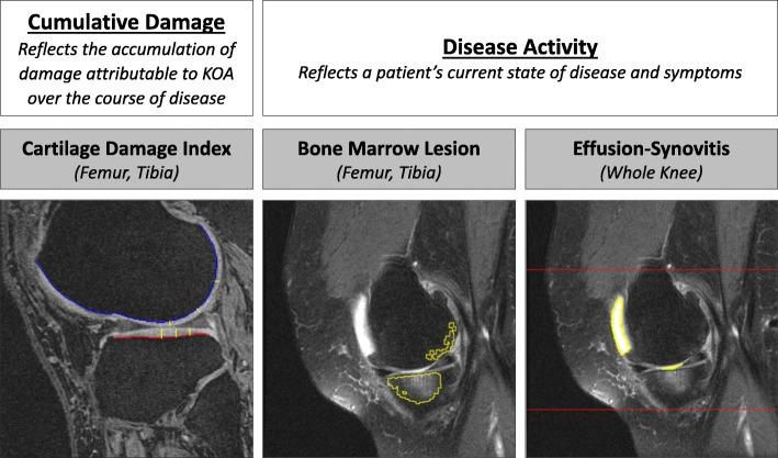 https://cdn.ncbi.nlm.nih.gov/pmc/blobs/c1b1/7222452/dd76413dd726/12891_2020_3338_Fig2_HTML.jpg