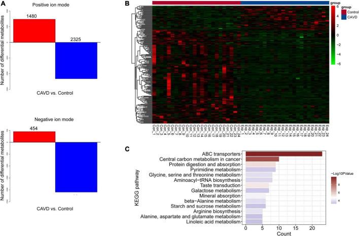 https://cdn.ncbi.nlm.nih.gov/pmc/blobs/c1b1/9606238/58110d667b9a/fcvm-09-944521-g003.jpg