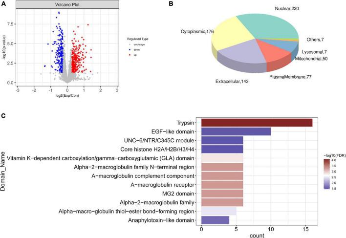 https://cdn.ncbi.nlm.nih.gov/pmc/blobs/c1b1/9606238/a4faec5ba46d/fcvm-09-944521-g004.jpg