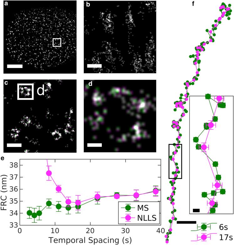 https://cdn.ncbi.nlm.nih.gov/pmc/blobs/c1b1/9680730/a083fc50aa04/gr3.jpg