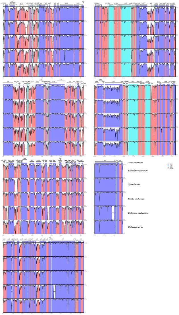 https://cdn.ncbi.nlm.nih.gov/pmc/blobs/c1b2/5601906/1bc7eebe0182/fpls-08-01536-g003.jpg