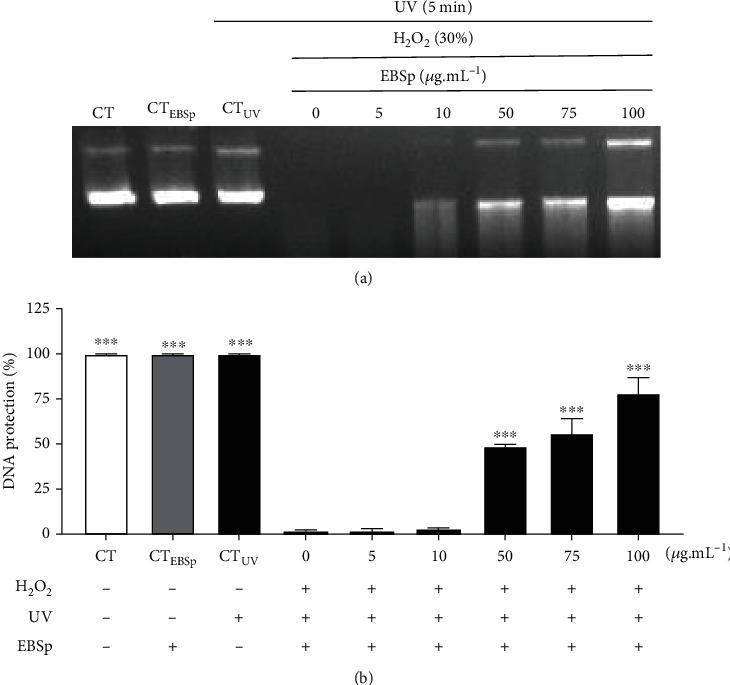 https://cdn.ncbi.nlm.nih.gov/pmc/blobs/c1b3/8989600/fb108f10ac6b/OMCL2022-3046483.002.jpg