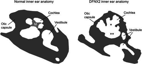 https://cdn.ncbi.nlm.nih.gov/pmc/blobs/c1b4/10529175/917ce02d5625/IBRA-8-431-g002.jpg