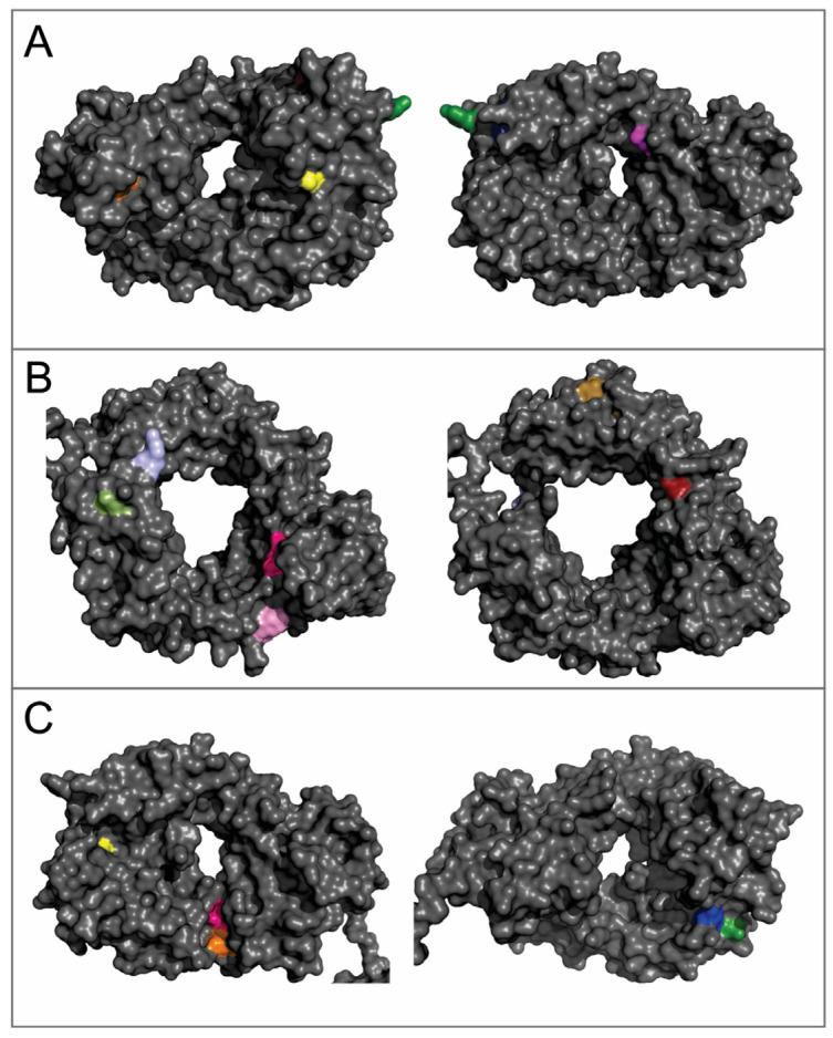 https://cdn.ncbi.nlm.nih.gov/pmc/blobs/c1b4/8070435/69f758764823/ijms-22-03952-g008.jpg