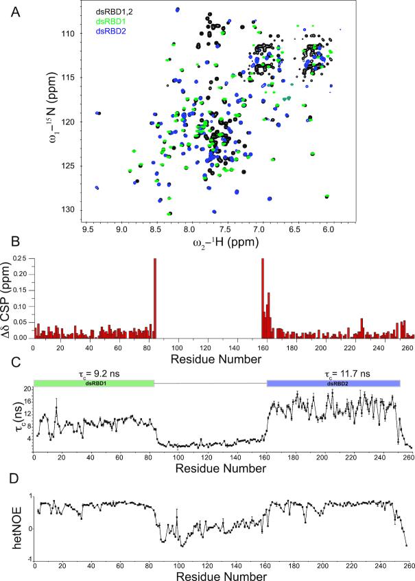 https://cdn.ncbi.nlm.nih.gov/pmc/blobs/c1b6/6486548/891a21fb7610/gkz125fig2.jpg