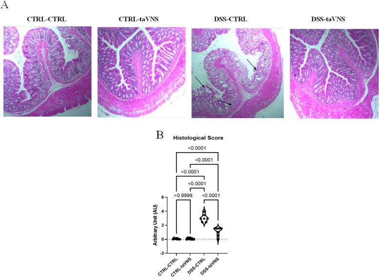 https://cdn.ncbi.nlm.nih.gov/pmc/blobs/c1b7/11626753/b7eeef237862/42234_2024_162_Fig2_HTML.jpg